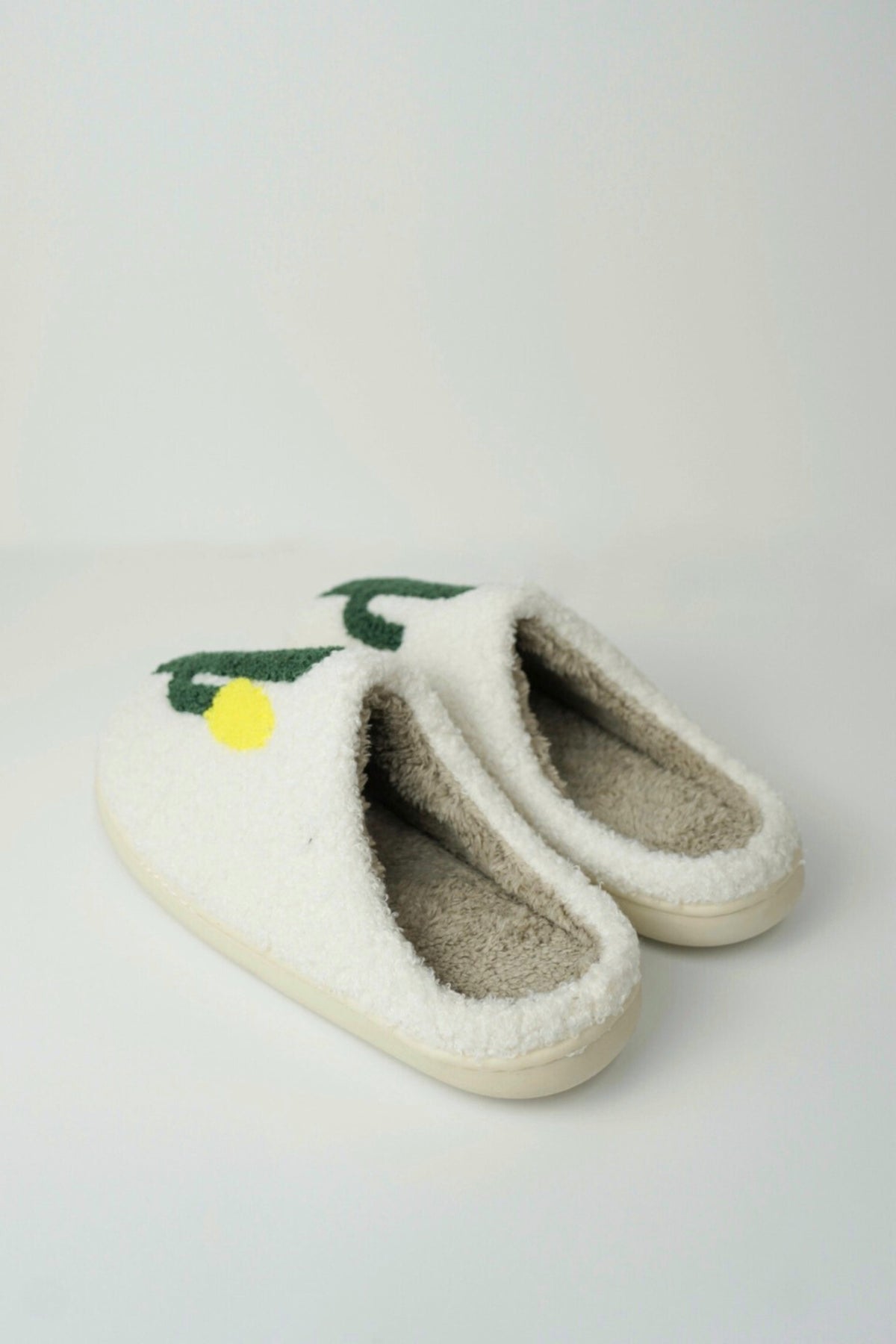 Cactus Slippers