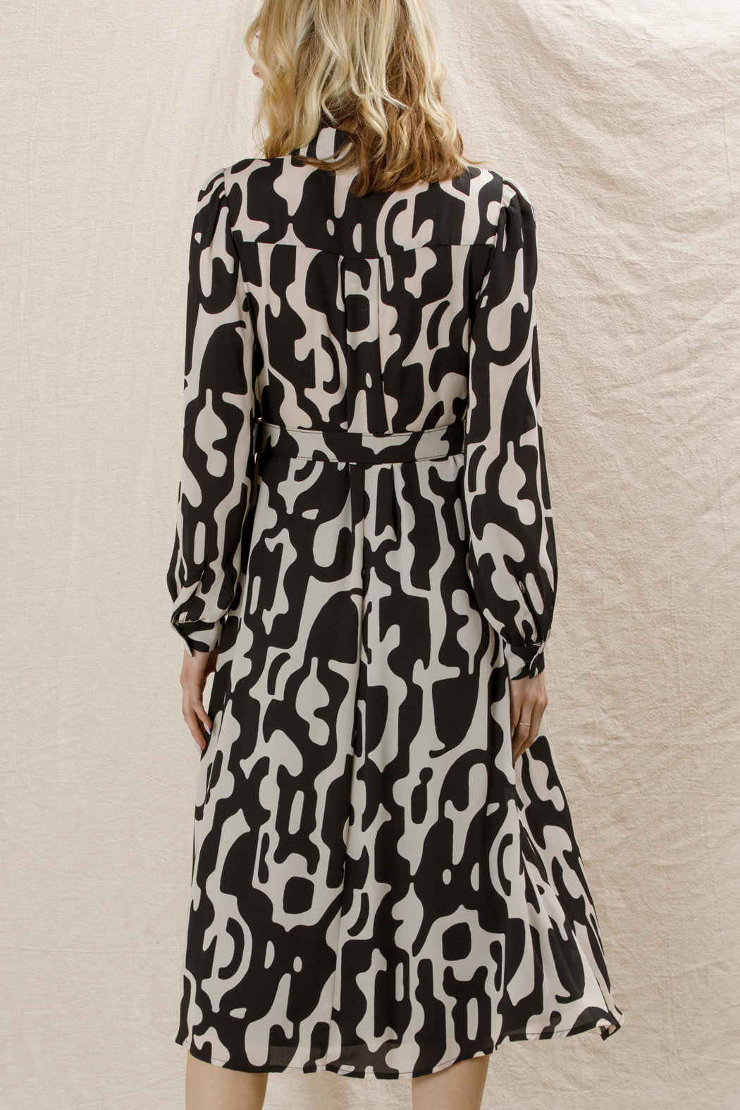 Rhea Printed Chiffon Dress