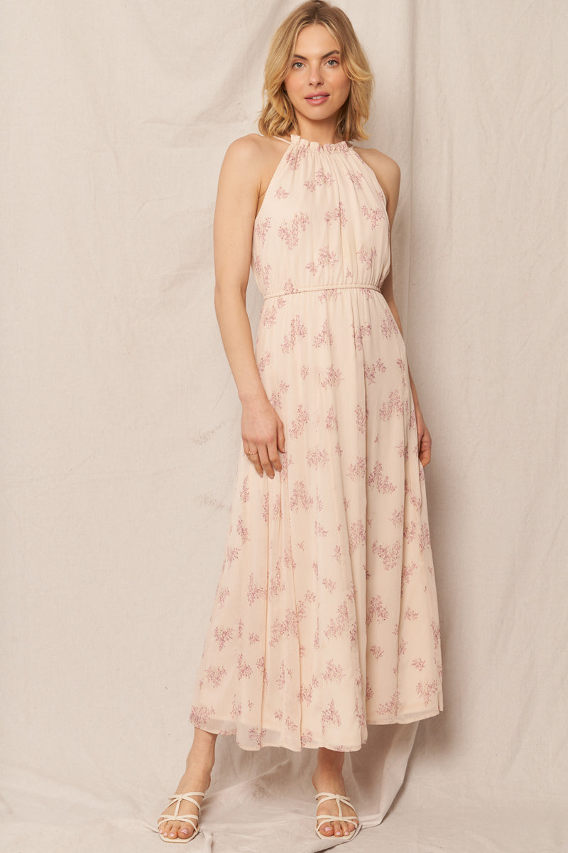 Pretty in Pink Maxi Dress