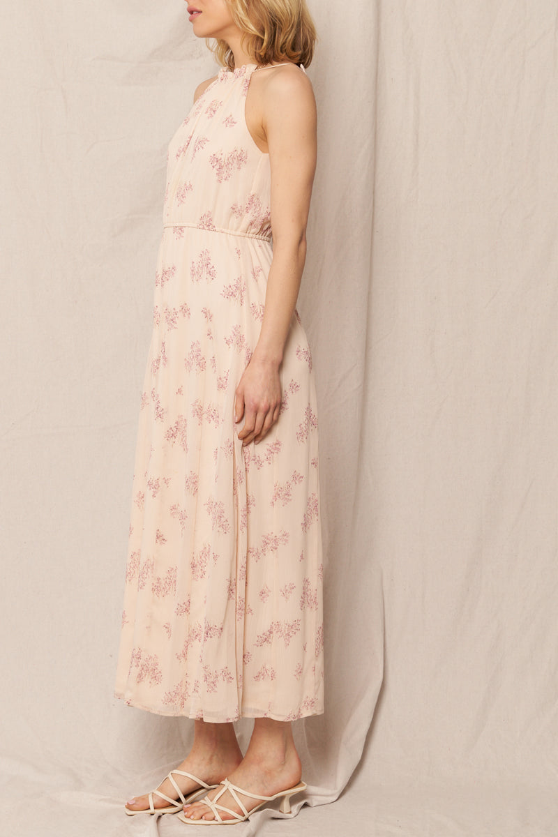 Pretty in Pink Maxi Dress