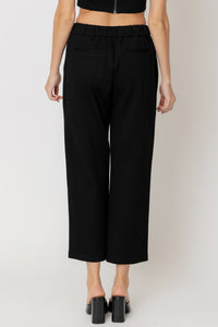 Crishell Pleated Pants