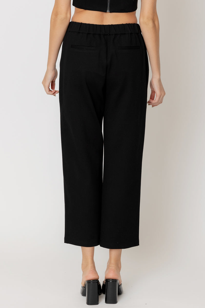 Crishell Pleated Pants