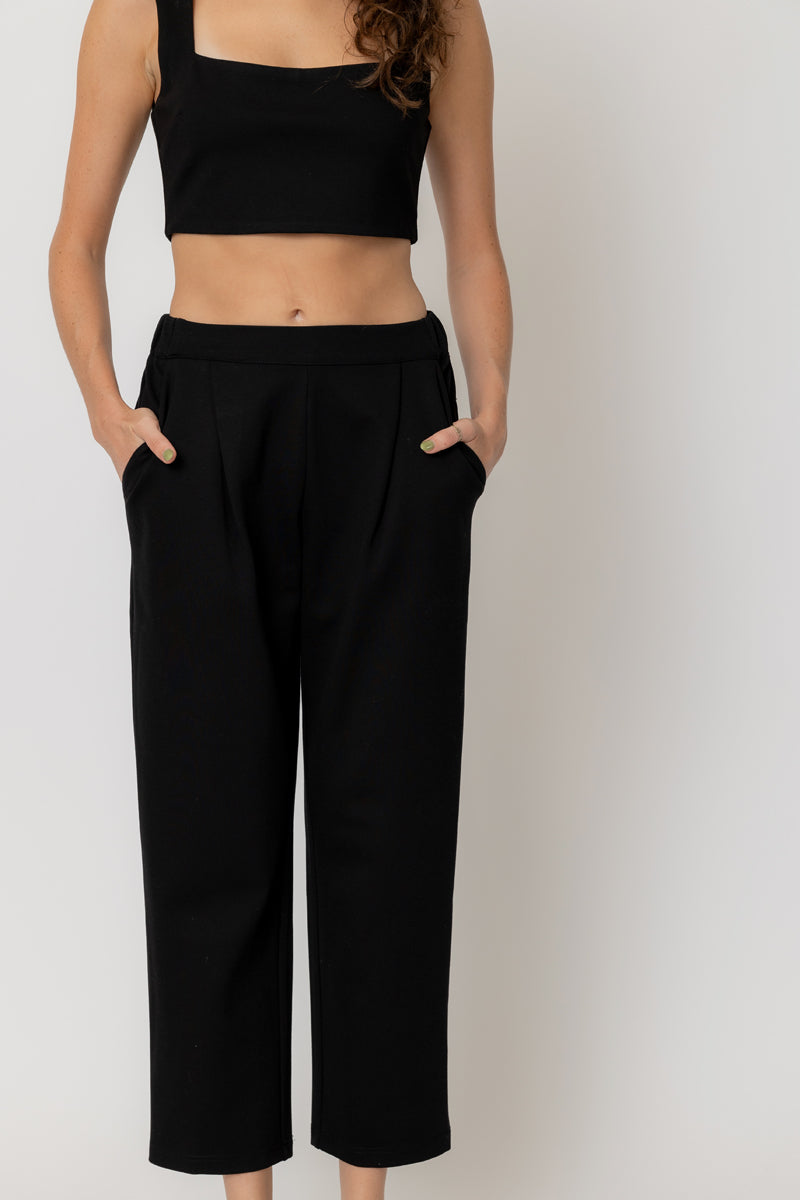 Crishell Pleated Pants