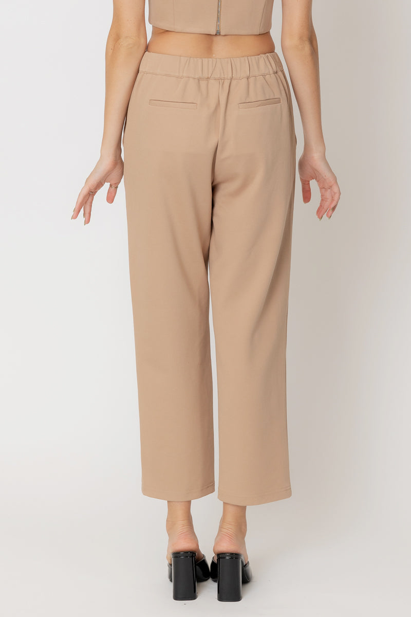 Crishell Pleated Pants