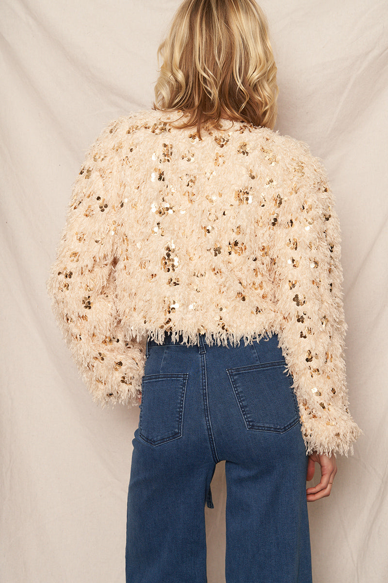 Evita Feathery Sequin Top