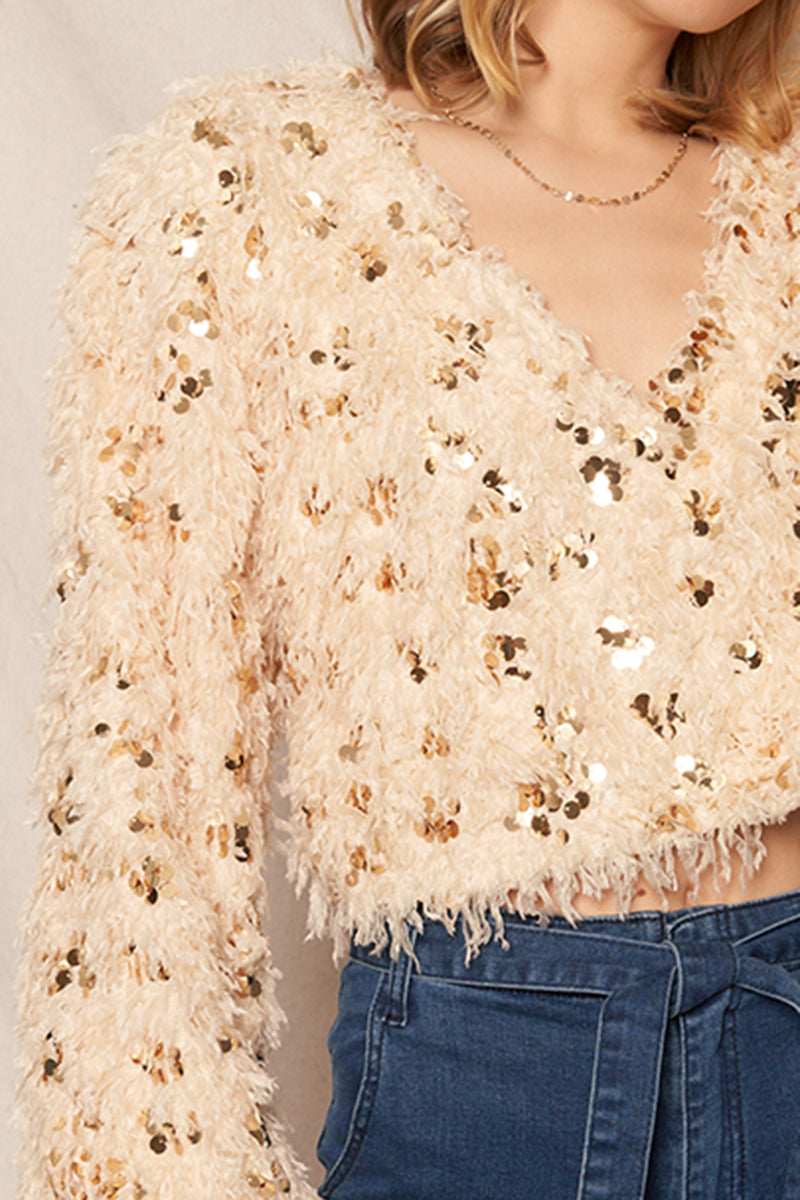 Evita Feathery Sequin Top