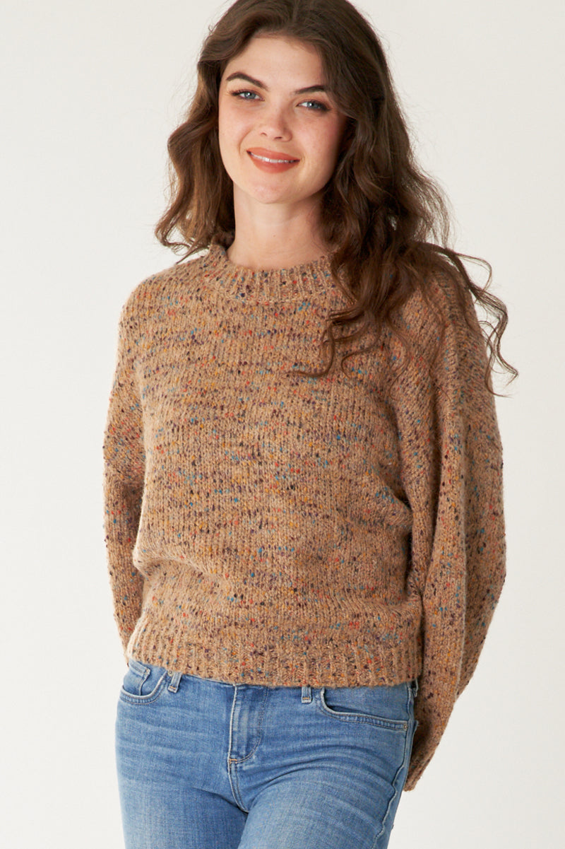 Cardamom Oversized Cropped Sweater