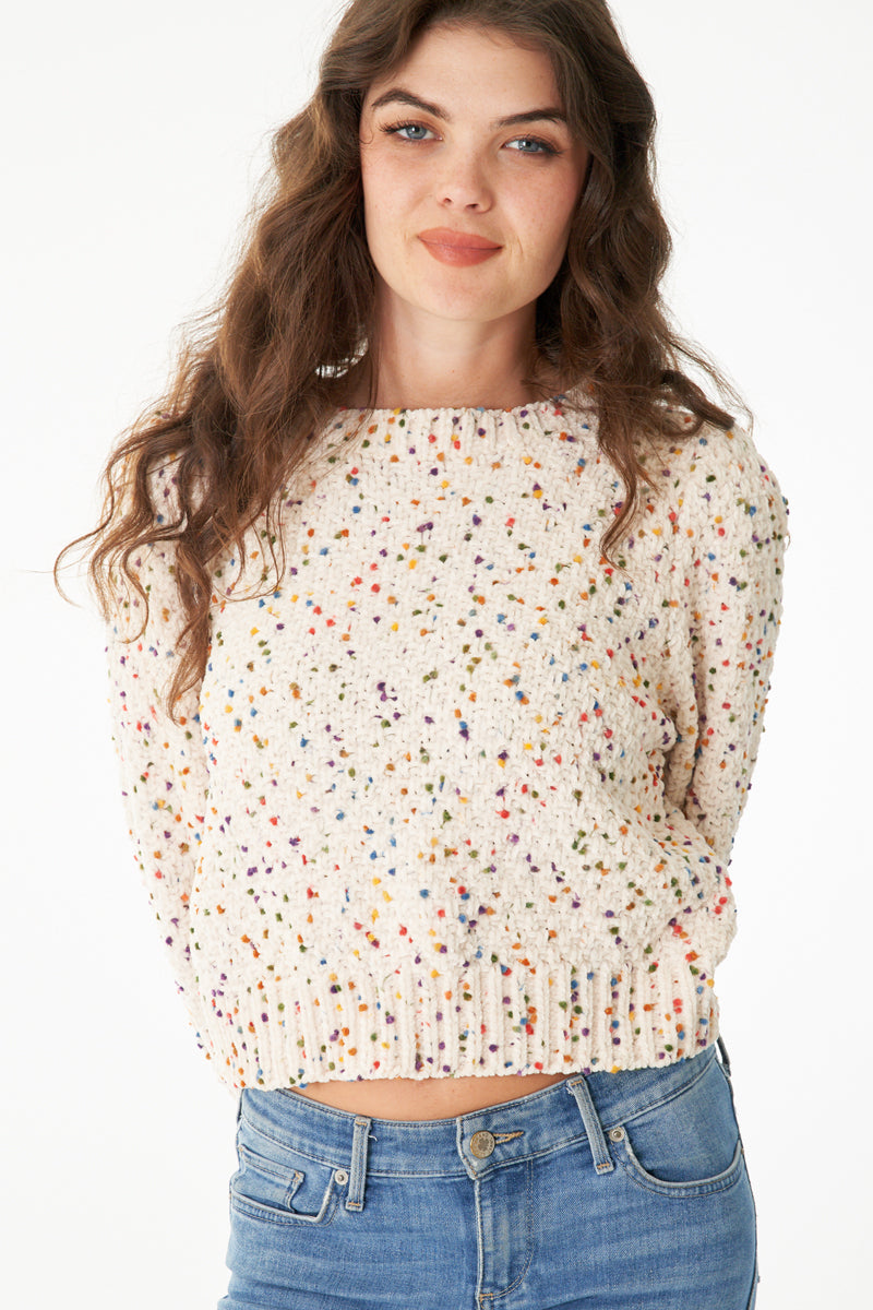 Chloe Cropped Confetti Sweater