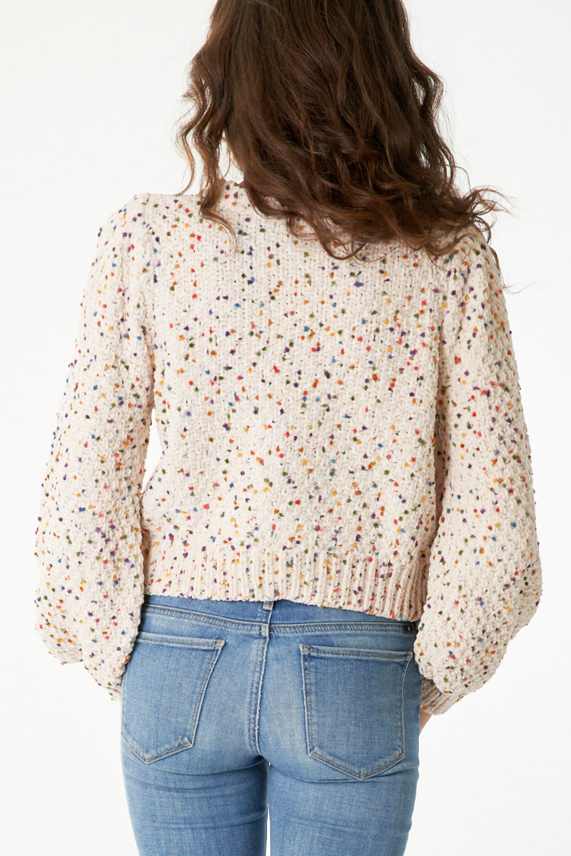 Chloe Cropped Confetti Sweater