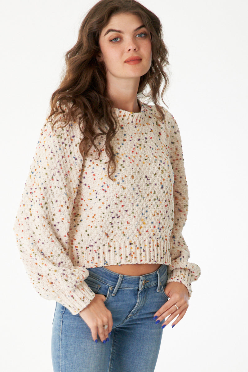 Chloe Cropped Confetti Sweater