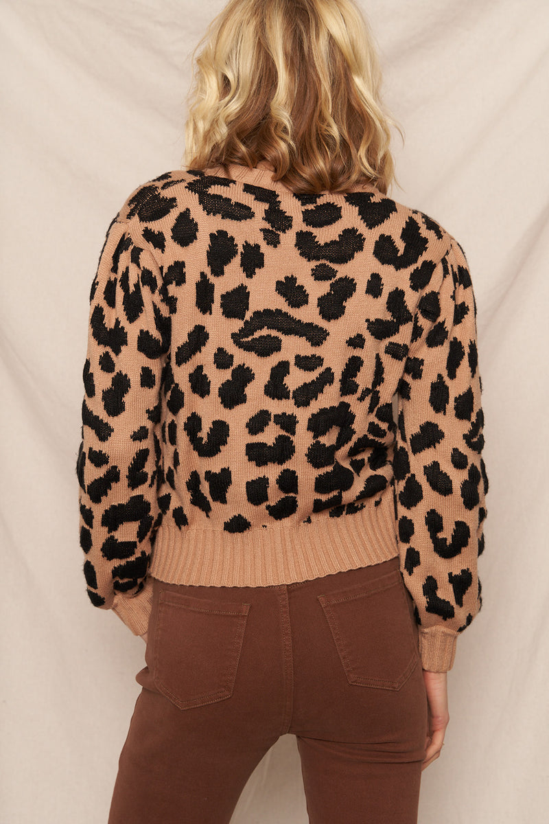 Lexi Leopard Print Sweater