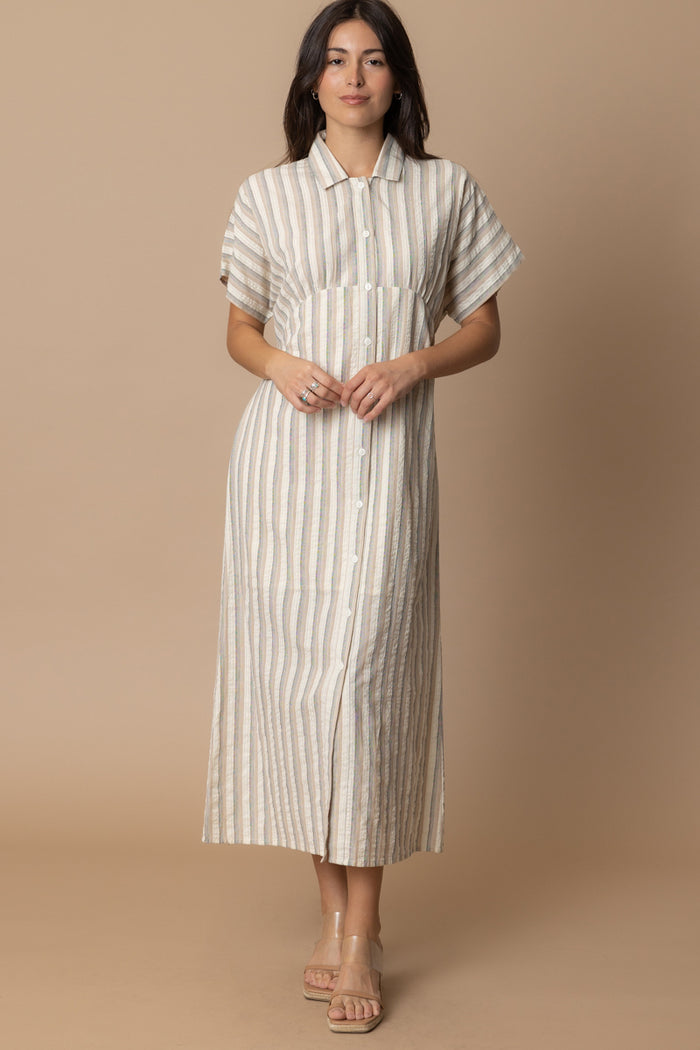 Talissa Striped Button Dress