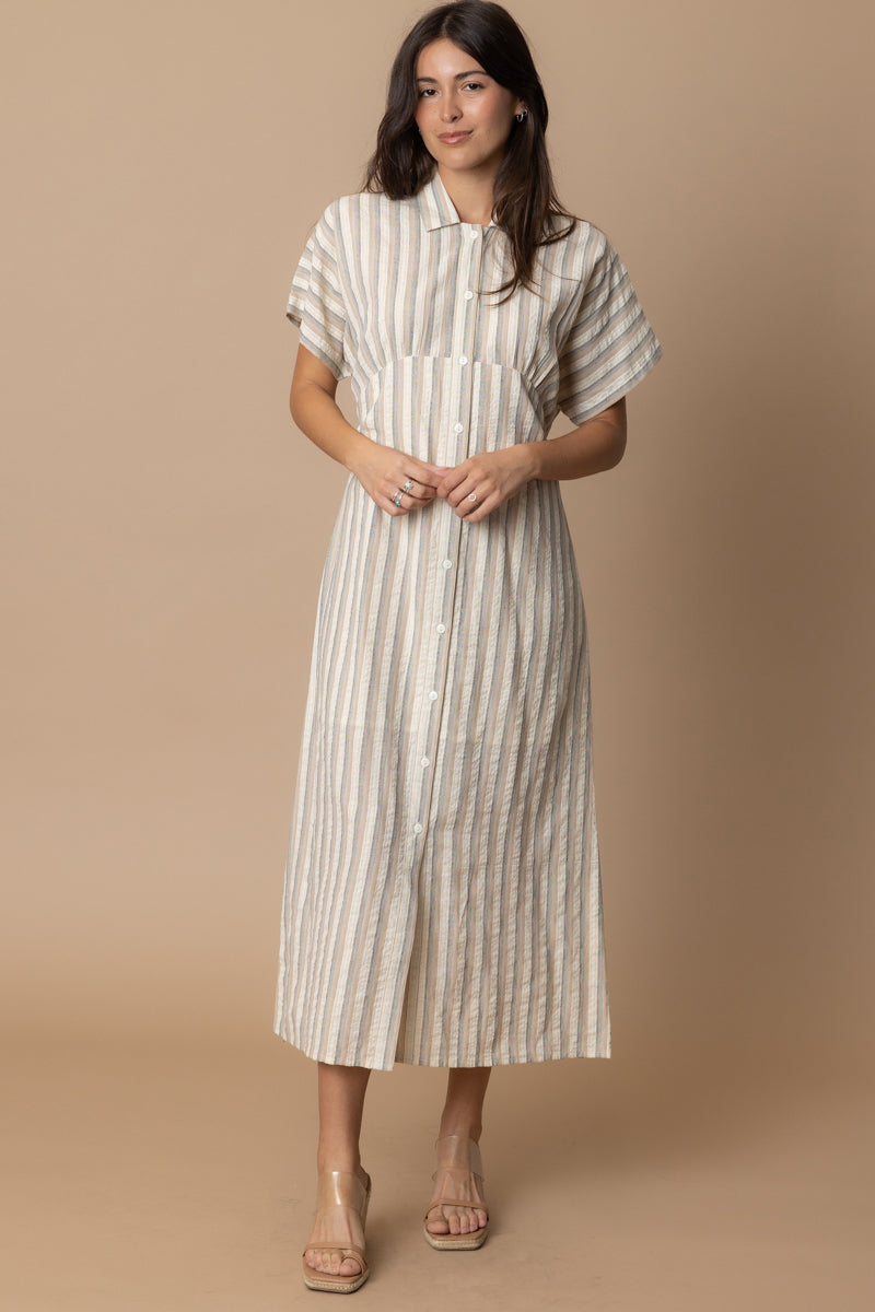 Talissa Striped Button Dress