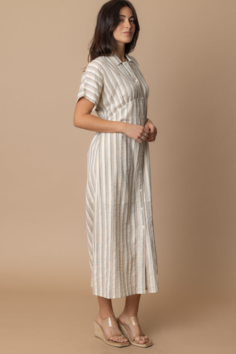 Talissa Striped Button Dress